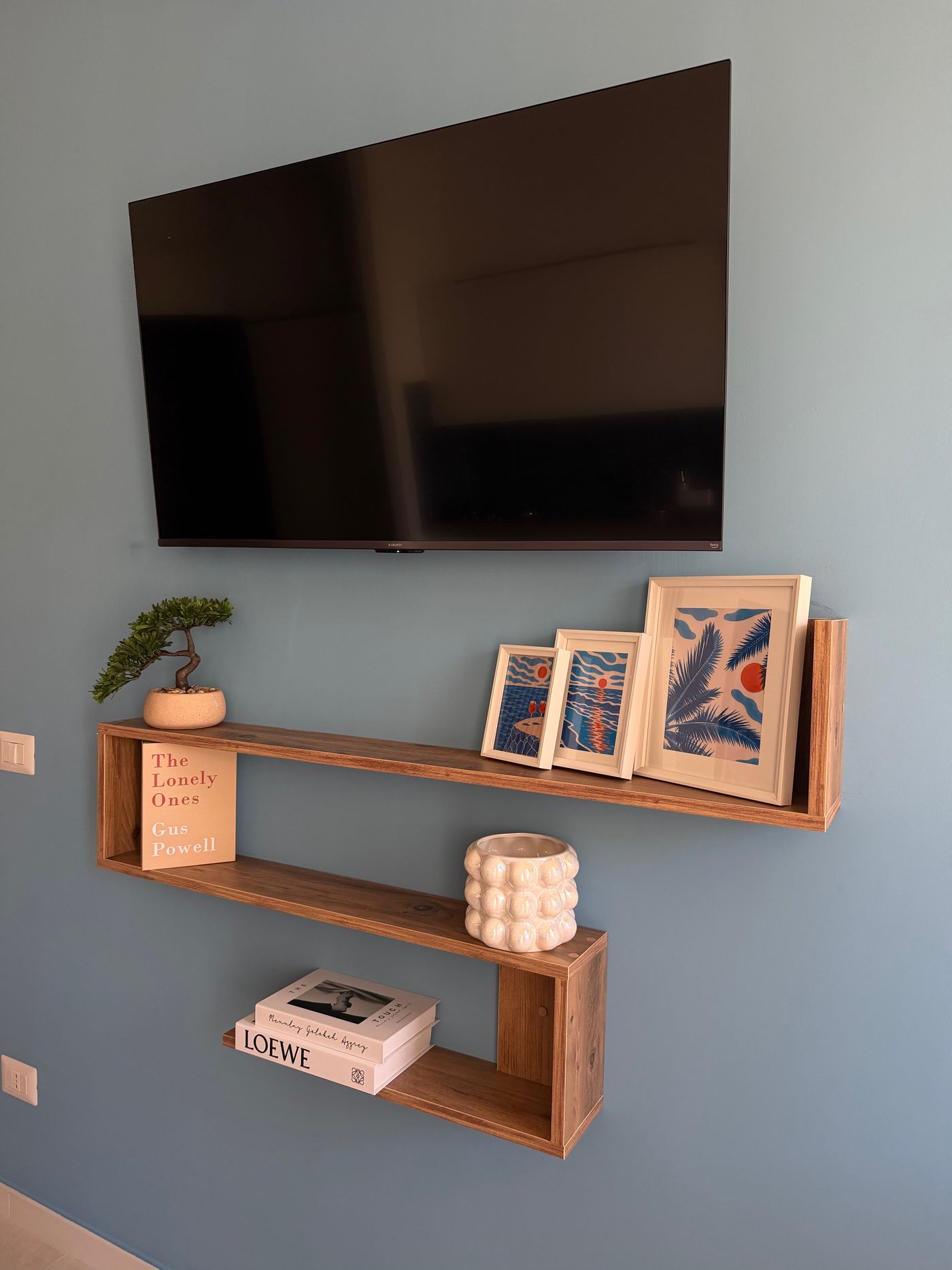 Wooden shelves with books and small frames below the Smart TV